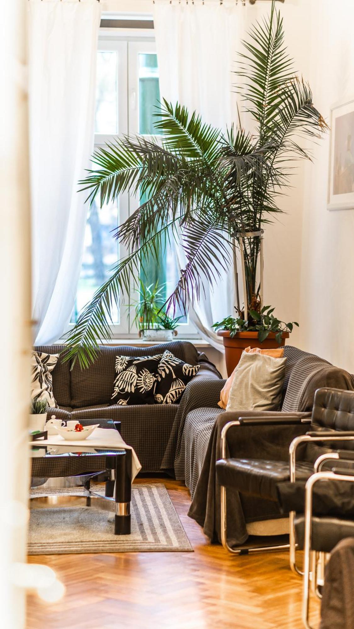 Fogra Travel Apartment Краков Экстерьер фото